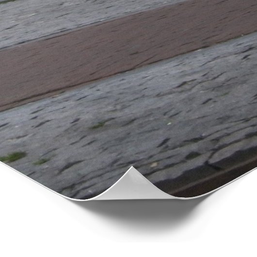 konijn poster (Hoek)