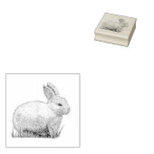konijn rubberstempel (Gestempeld)