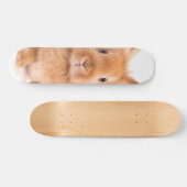 konijn skateboard (Horizontaal)
