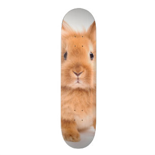 konijn skateboard