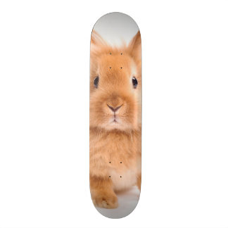 konijn skateboard