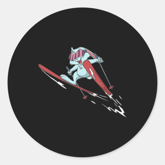 Konijn Ski Vliegen Ronde Sticker (Voorkant)