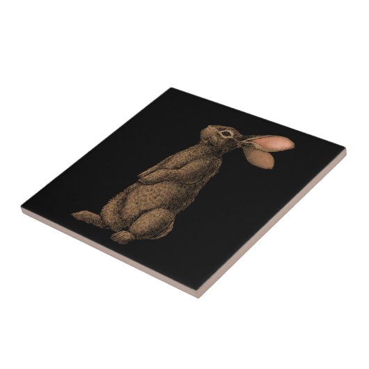 konijn tegeltje (Zijkant)