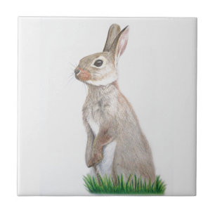 konijn tegeltje