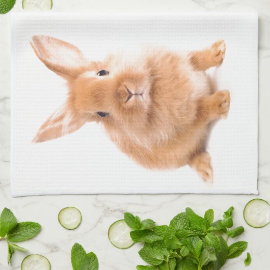 konijn theedoek (Gevouwen)