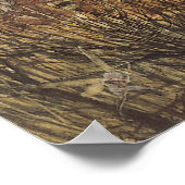 Konijn tussen de Fairies,  feiën Poster (Hoek)