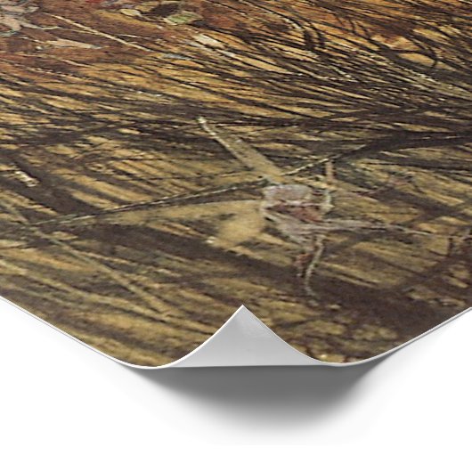 Konijn tussen de Fairies,  feiën Poster (Hoek)