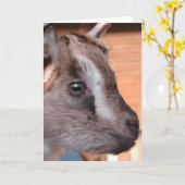 Konijn van de Bottle Goat Kaart (Gele Bloem)