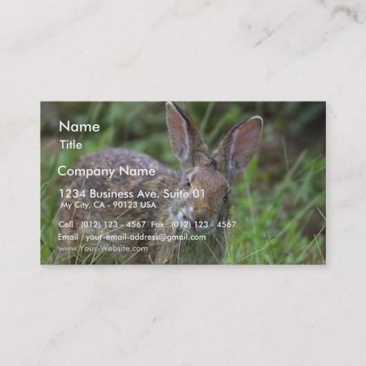 konijn visitekaartje (Voorkant)