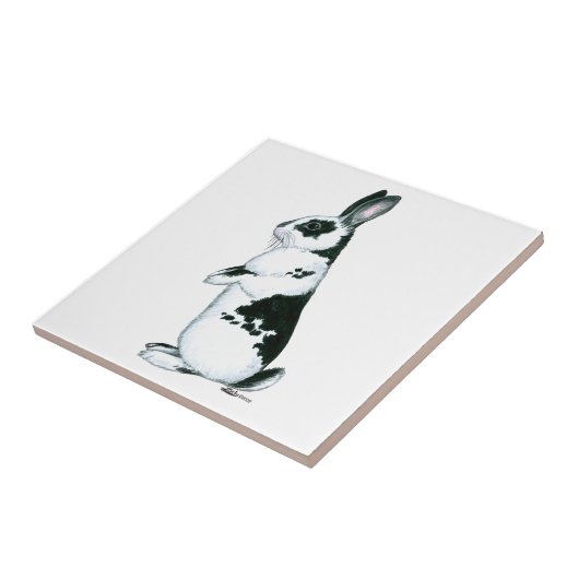 Konijn:  Zwart en wit Tegeltje (Zijkant)