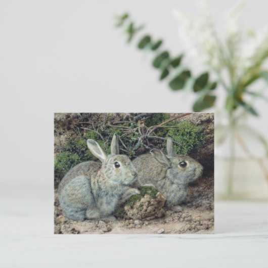 Konijnen Briefkaart (Staand voorkant)