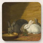 Konijnen die kunst Onderzetters eten (Voorkant)