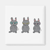 Konijnen dragen een bril magneet (Voorkant)