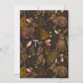 Konijnen en bossen 3 (Voorkant)