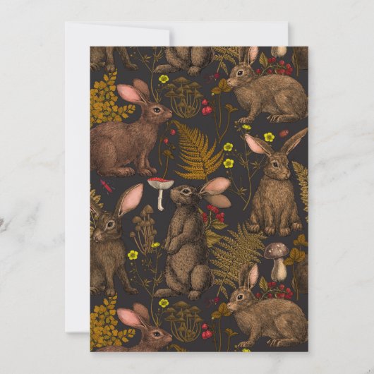 Konijnen en bossen 3 (Voorkant)