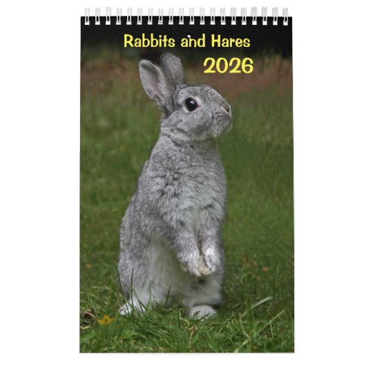 Konijnen en hazen kalender (Hoes)