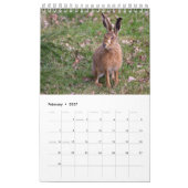 Konijnen en hazen kalender (Feb 2027)