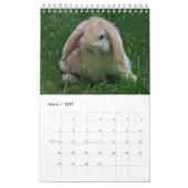 Konijnen en hazen kalender (Mar 2027)
