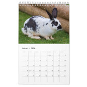 Konijnen en hazen kalender (Jan 2026)