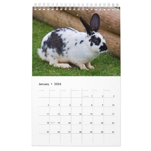 Konijnen en hazen kalender (Jan 2026)