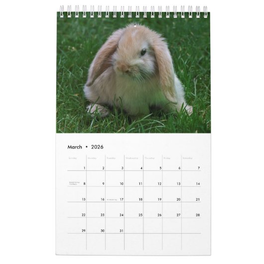 Konijnen en hazen kalender (Mar 2026)