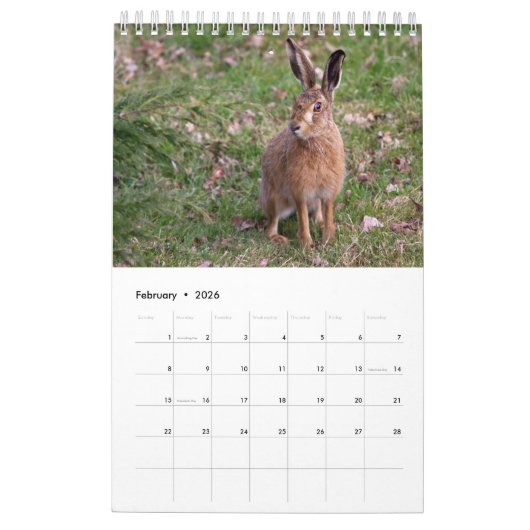 Konijnen en hazen kalender (Feb 2026)