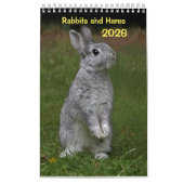 Konijnen en hazen kalender (Hoes)