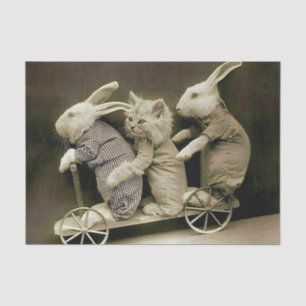  konijnen en katten op de Speelgoed scooter Tissuepapier