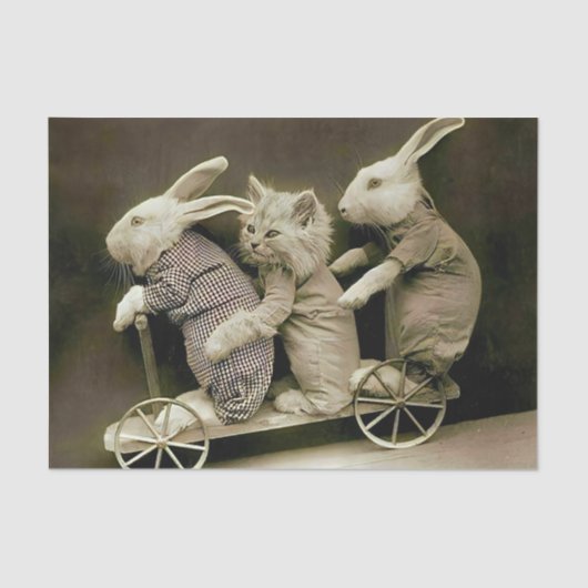  konijnen en katten op de Speelgoed scooter Tissuepapier (Voorkant)