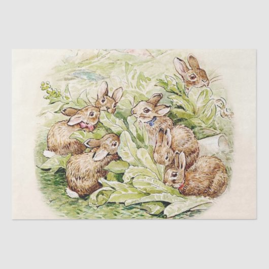 Konijnen in de sla patch van Beatrix Potter Tissuepapier (Voorkant)