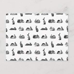  konijnen Klassieke Bunnies CUSTOM BG COLOR Briefkaart