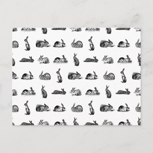 konijnen Klassieke Bunnies CUSTOM BG COLOR Briefkaart (Voorkant)