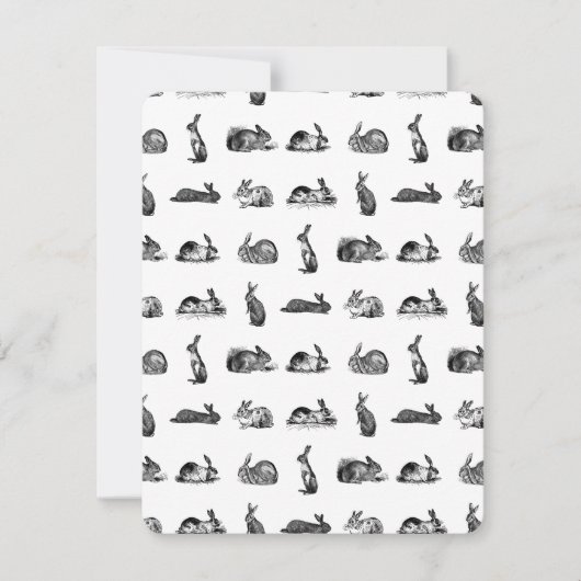 konijnen Klassieke Bunnies CUSTOM BG COLOR Kaart (Voorkant)