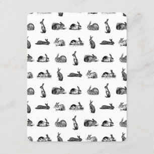 konijnen Klassieke Bunnies CUSTOM BG COLOR Kaart