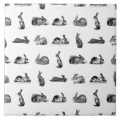  konijnen Klassieke Bunnies CUSTOM BG COLOR Tegeltje (Voorkant)