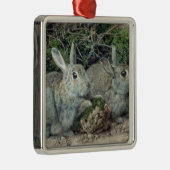 Konijnen Metalen Ornament (Rechts)