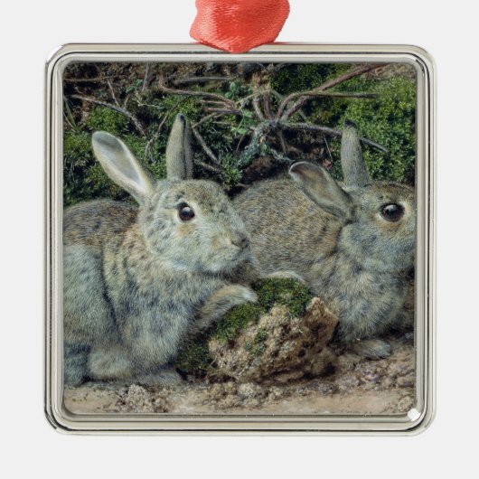 Konijnen Metalen Ornament (Voorkant)