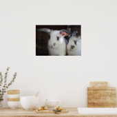 Konijnen Poster (Keuken)