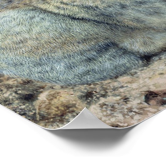 Konijnen Poster (Hoek)