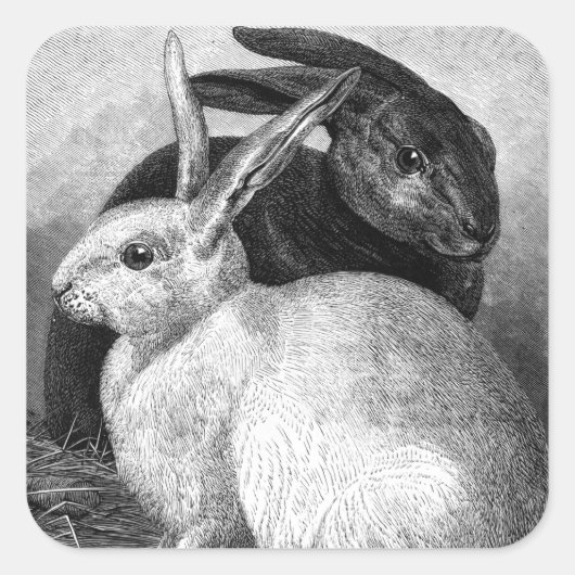 Konijnen Stickers (Voorkant)