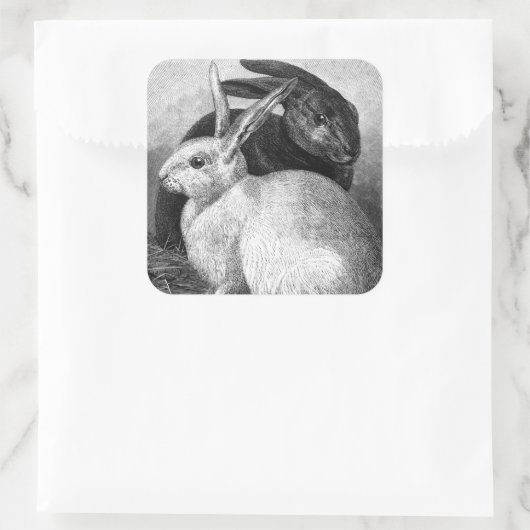 Konijnen Stickers (Tas)