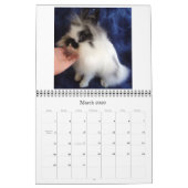 Konijnen van Lionhead 2009-2010 Kalender (Mar 2026)