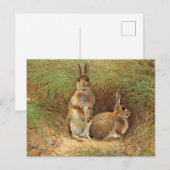 Konijnen van Victor Stoetzner-Lund Briefkaart (Voorkant / Achterkant)