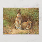 Konijnen van Victor Stoetzner-Lund Briefkaart (Voorkant)