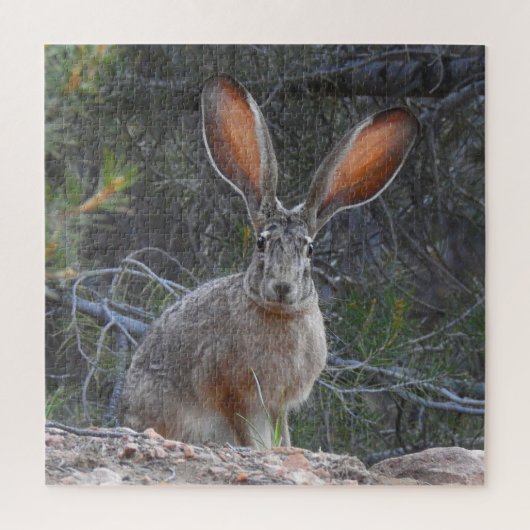 Konijnen, wilde dieren, puzzels met cadeaudoos, pu (Verticaal)