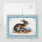 konijnenafdrukken briefkaart (Voorkant / Achterkant)
