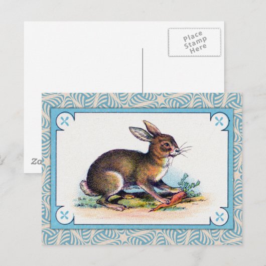  konijnenafdrukken briefkaart (Voorkant / Achterkant)