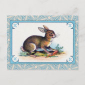  konijnenafdrukken briefkaart (Voorkant)