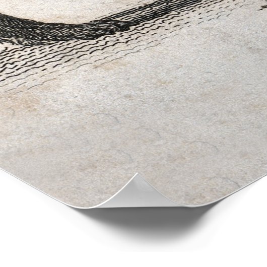 konijnenafdrukken poster (Hoek)