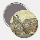 Konijnenbaby's (wilde) magneet (Voorkant / Achterkant)